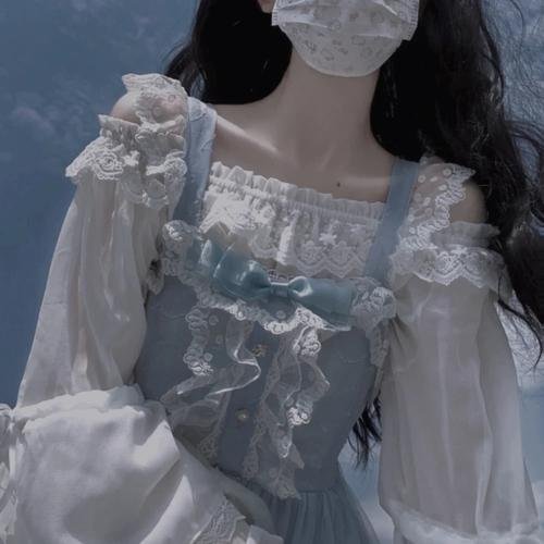 西湾海豚保护行动