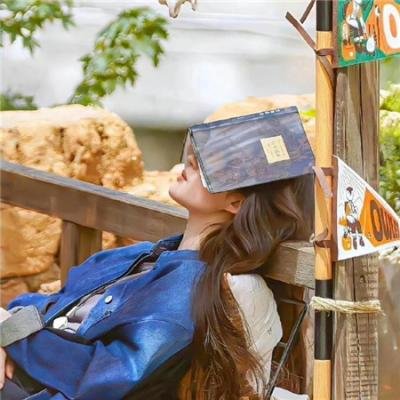 魔法科高校的劣等生